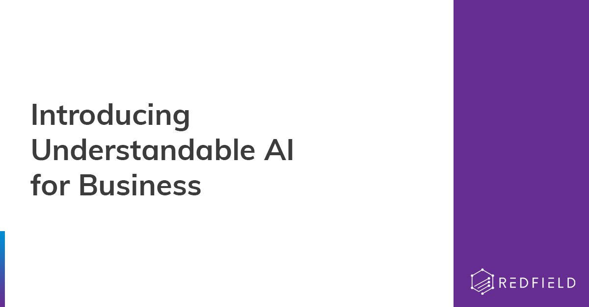 Introducing Understandable AI for Business